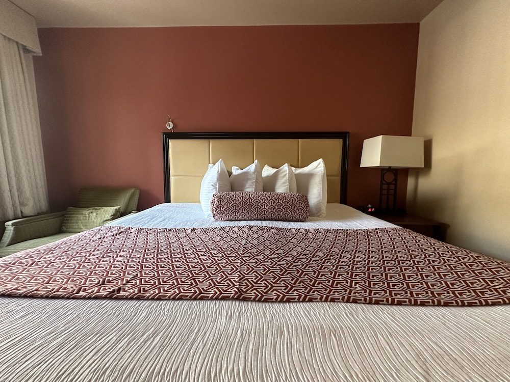 Deluxe Room photo 3