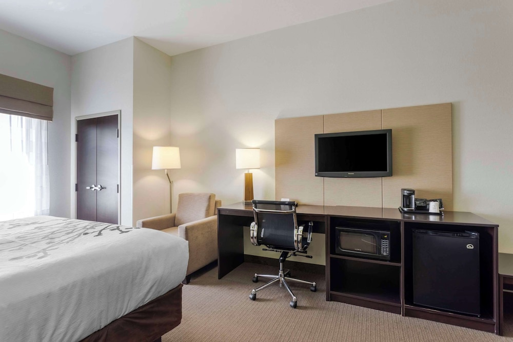 Standard Room, 1 King Bed, Non Smoking, Hot Tub - Photo 6