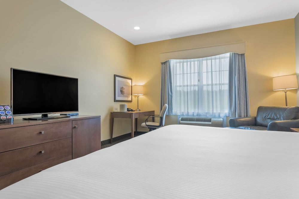 Suite, 1 King Bed, Non Smoking, Kitchenette (Living Room;with Sofabed) - Photo 2