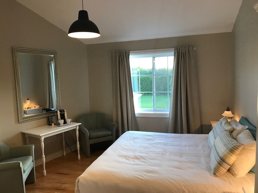 Room, 1 King Bed photo 1