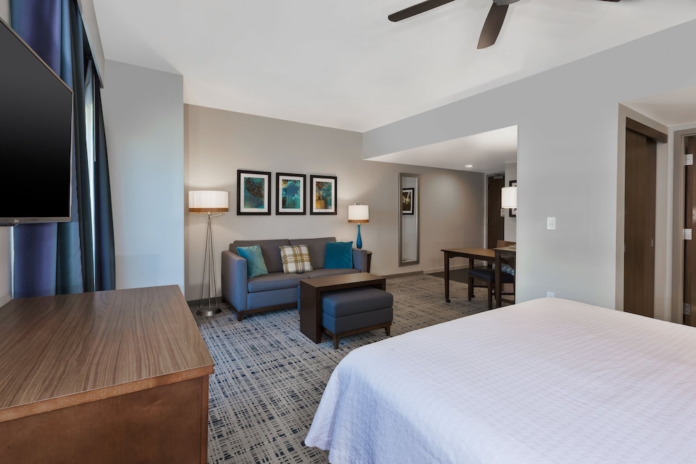 Studio Suite, 1 King Bed, Accessible, Bathtub