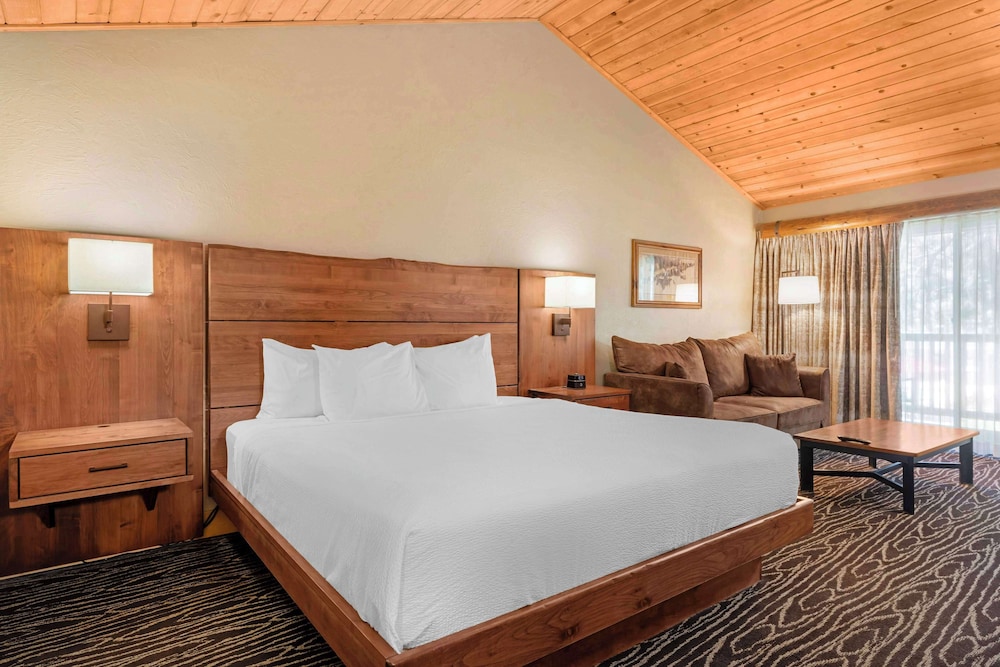 Standard Room, 1 King Bed, Non Smoking, Refrigerator & Microwave (Pet Friendly;with Sofabed)