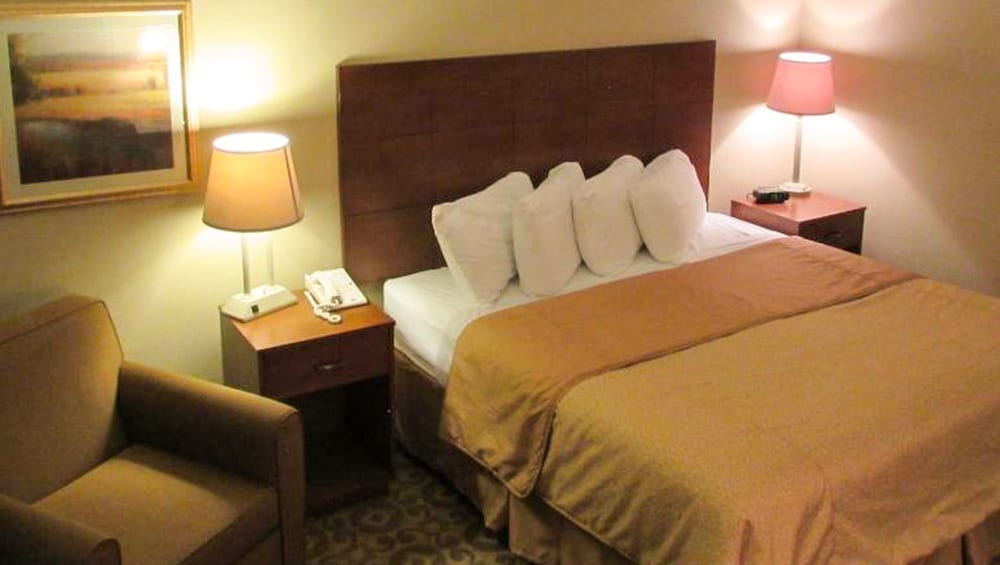 Room, 1 King Bed, Non Smoking, Refrigerator & Microwave