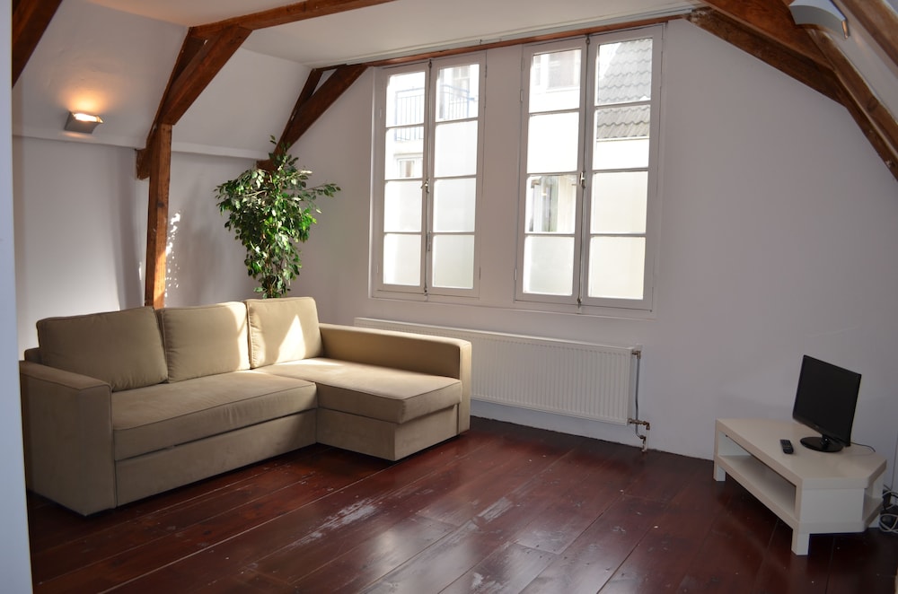 Standard Apartment photo 3