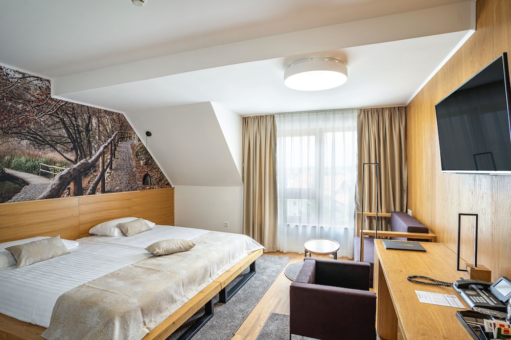 Comfort Double or Twin Room photo 1