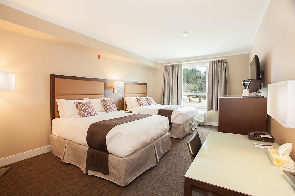 Standard Double Room, 2 Queen Beds