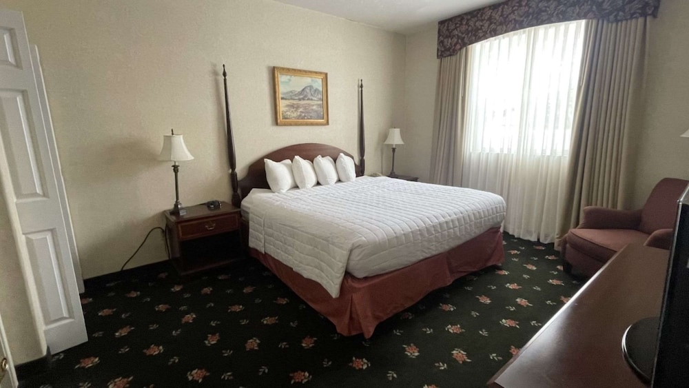 Suite, 1 King Bed, Non Smoking, Kitchenette (with Sofabed) photo 1