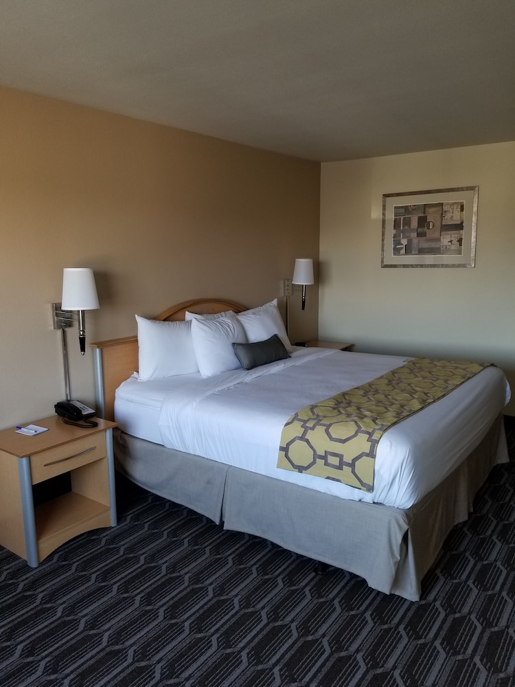 Room, 1 King Bed, Accessible, Non Smoking (Mobility, Bathtub w/Grab Bars) - Photo 1