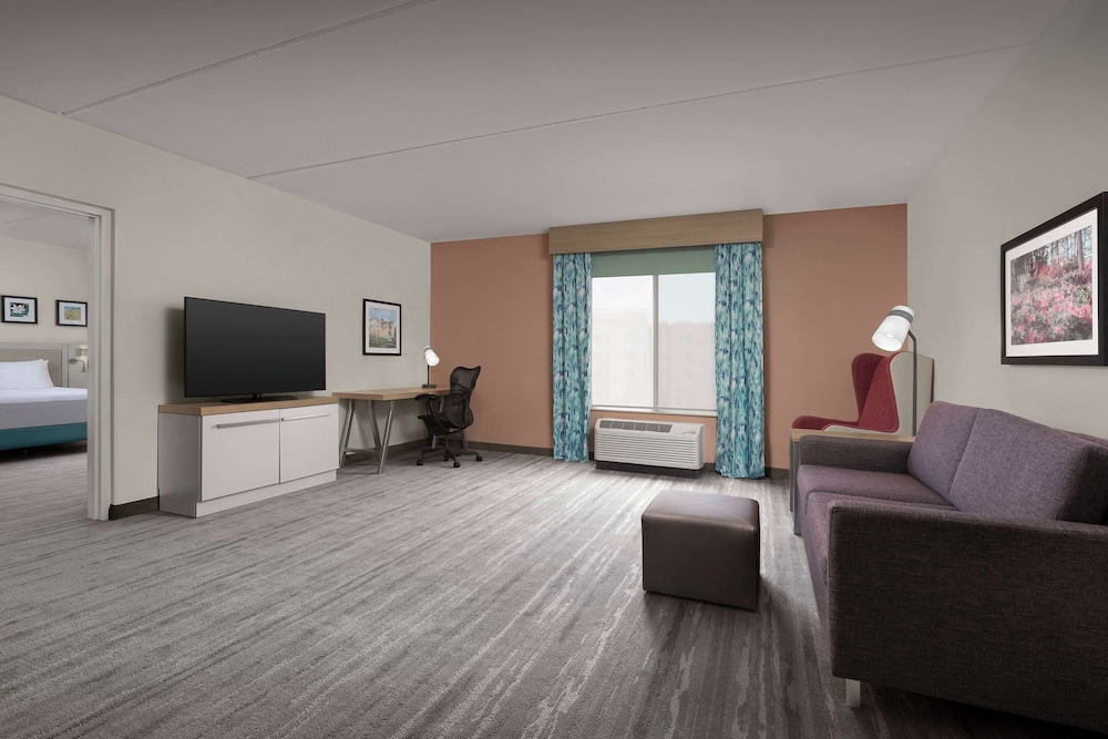 Suite, 1 King Bed, Accessible (Mobility & Hearing, Roll-in Shower) photo 1