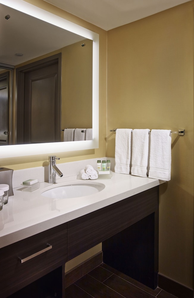 Studio, Accessible (Roll-in Shower)