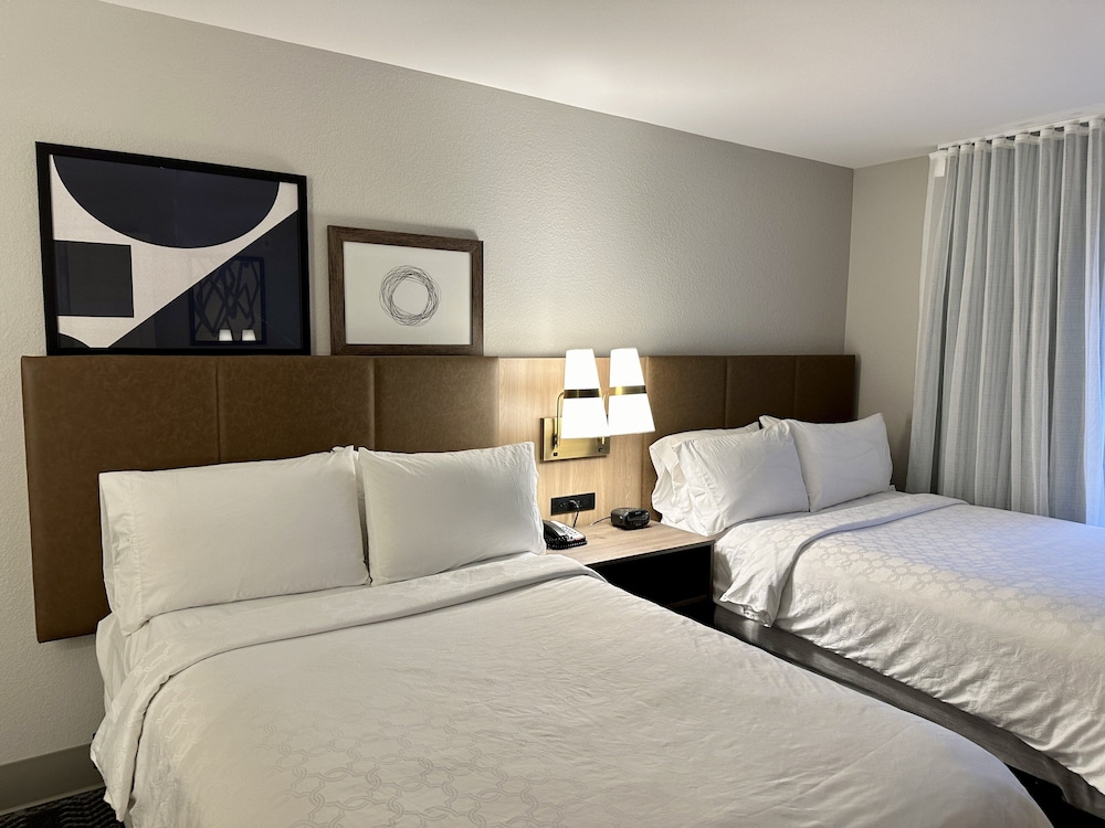 Suite, 1 Bedroom, Accessible, Kitchen (Communications) - Photo 1