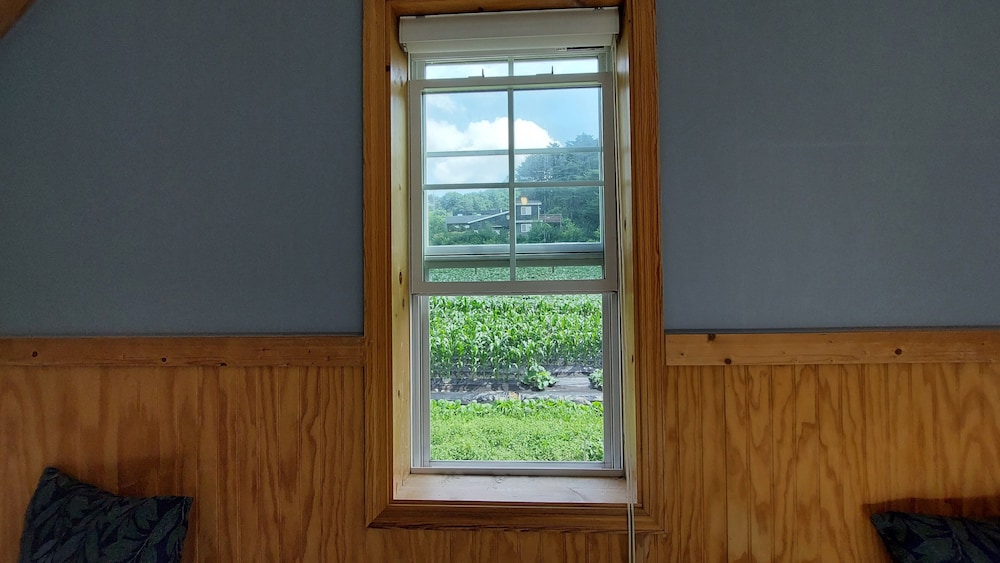 Family Duplex (Citrus) photo 2