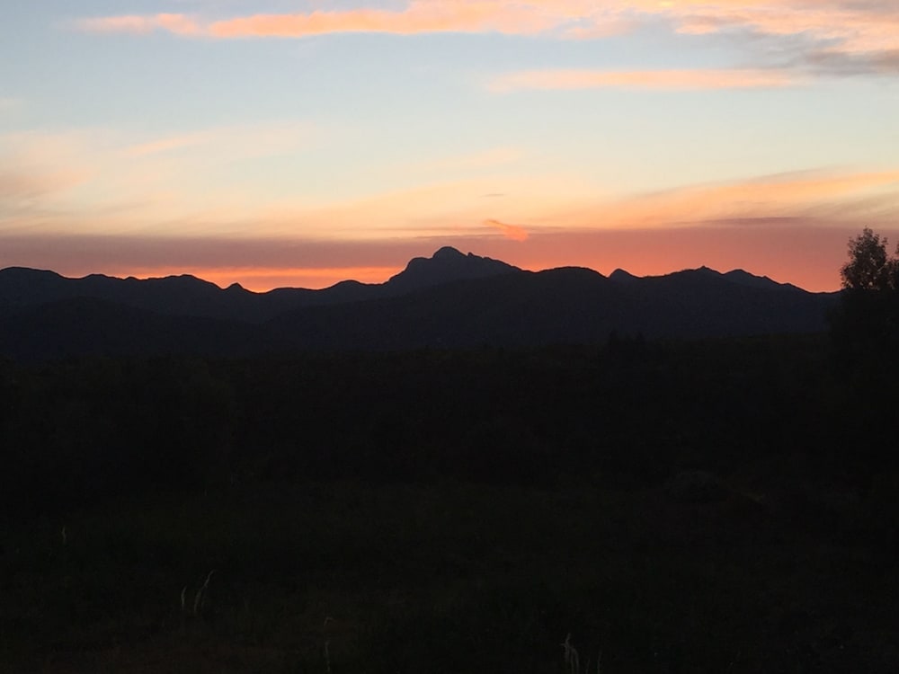 Cottage (African Crags) photo 2