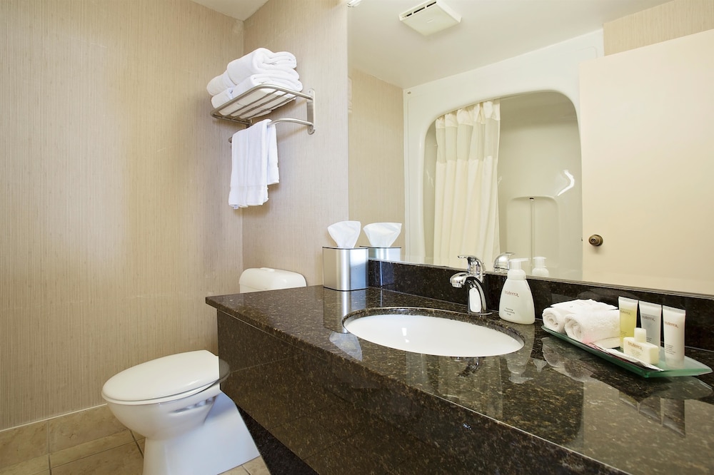 Standard Room, 1 King Bed, Non Smoking, View (Refrigerator) photo 2