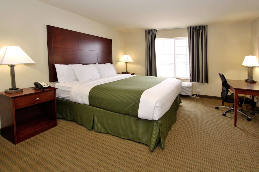 Studio, 1 King Bed with Sleeper Sofa, Accessible Roll in Shower, Non Smoking photo 3