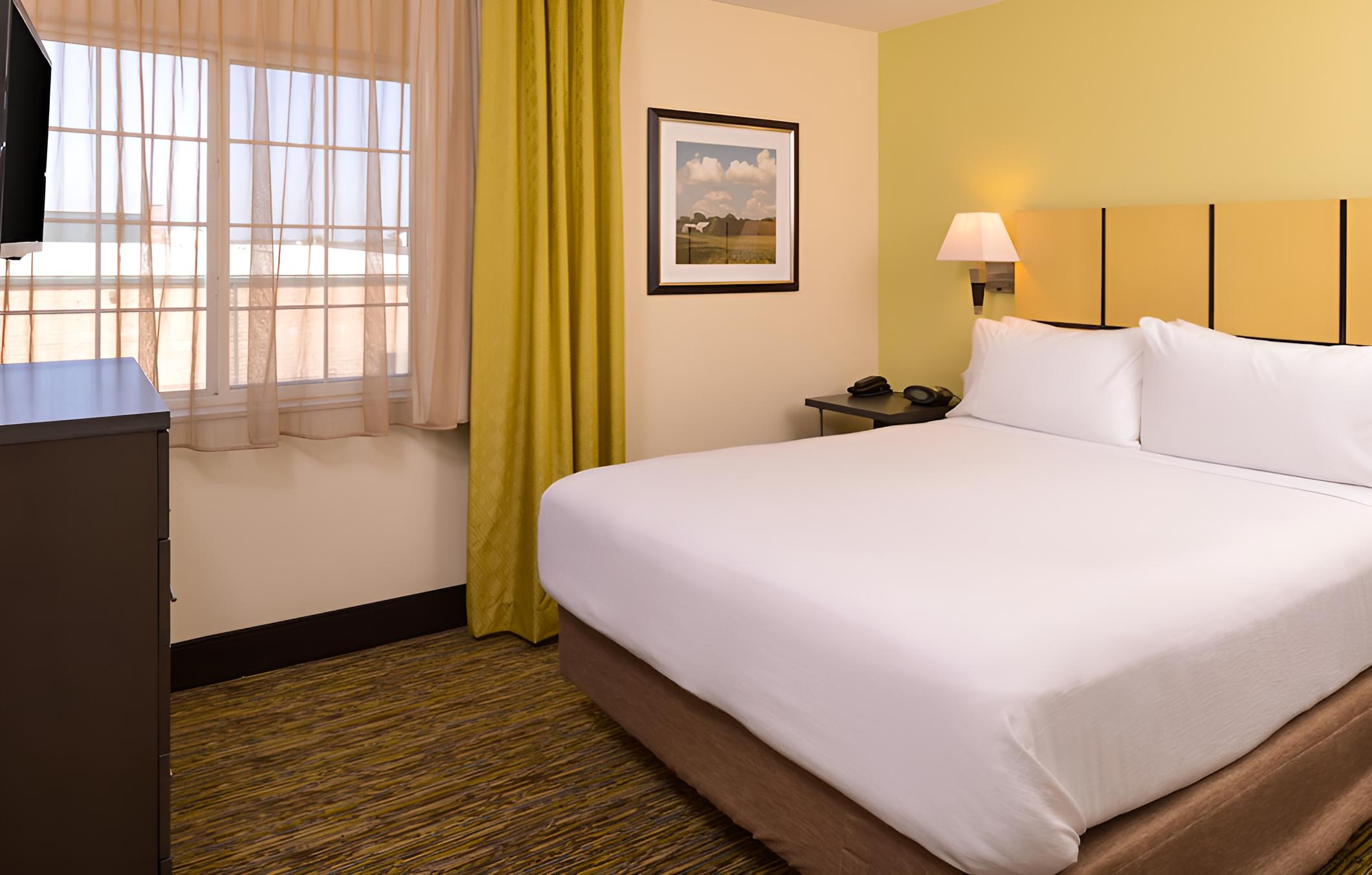 Suite, 1 Bedroom, Accessible