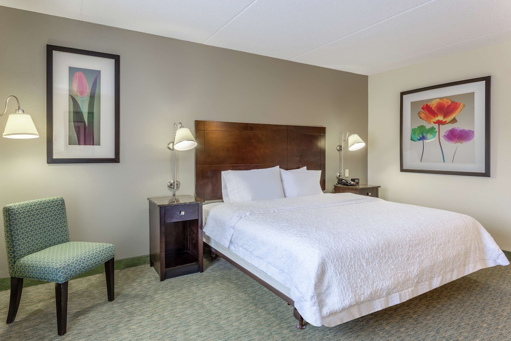 Classic Room, 1 King Bed, Accessible (Roll-In Shower) - Photo 8