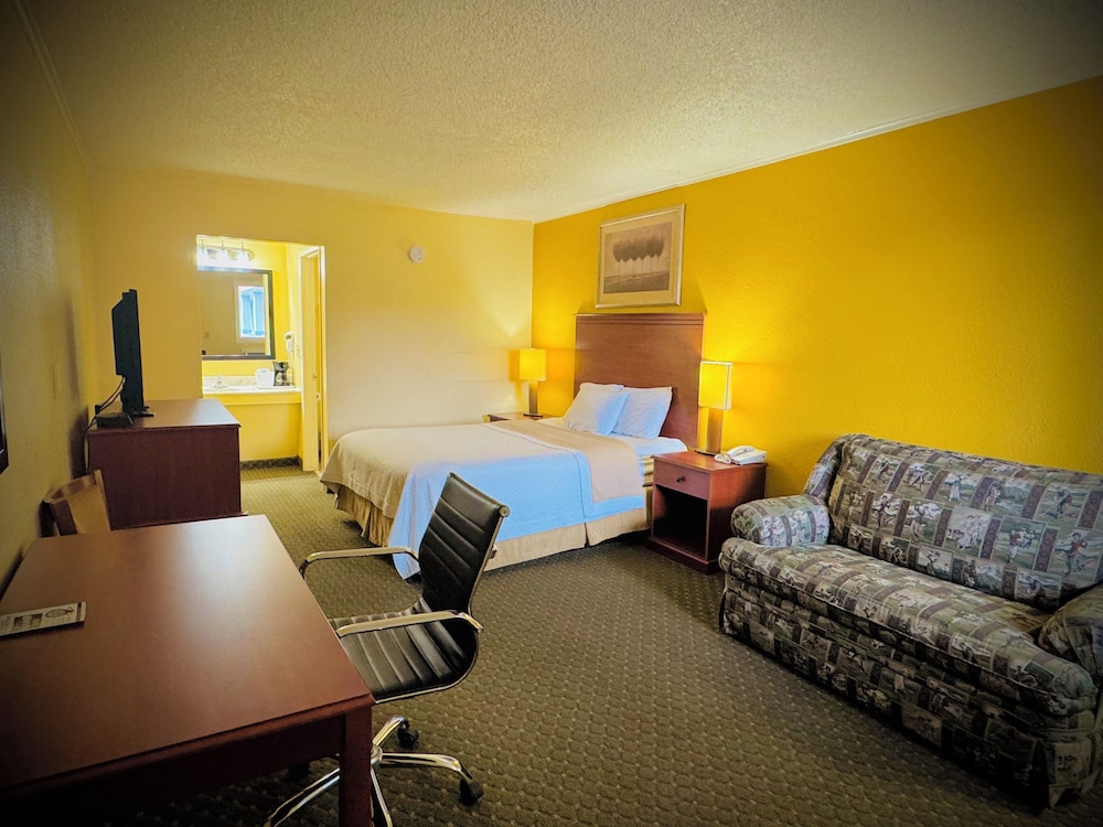 Standard Single Room, 1 King Bed, Non Smoking, Refrigerator & Microwave - Photo 2