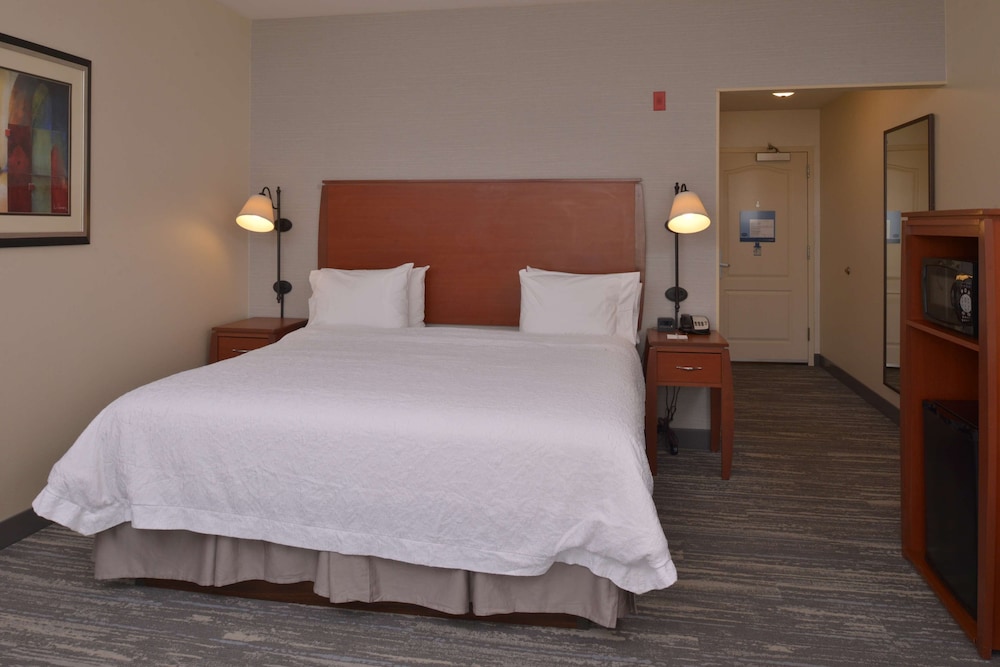 Room, 1 King Bed, Accessible, Non Smoking (bathtub) - Photo 1