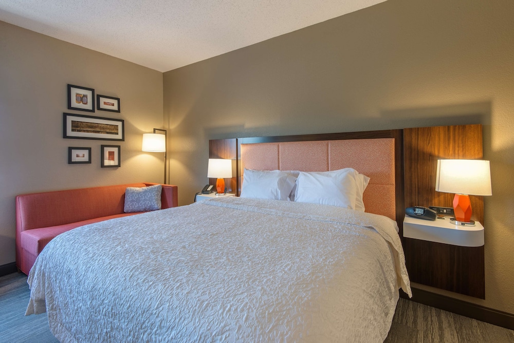 Room, 1 King Bed, Non Smoking photo 2
