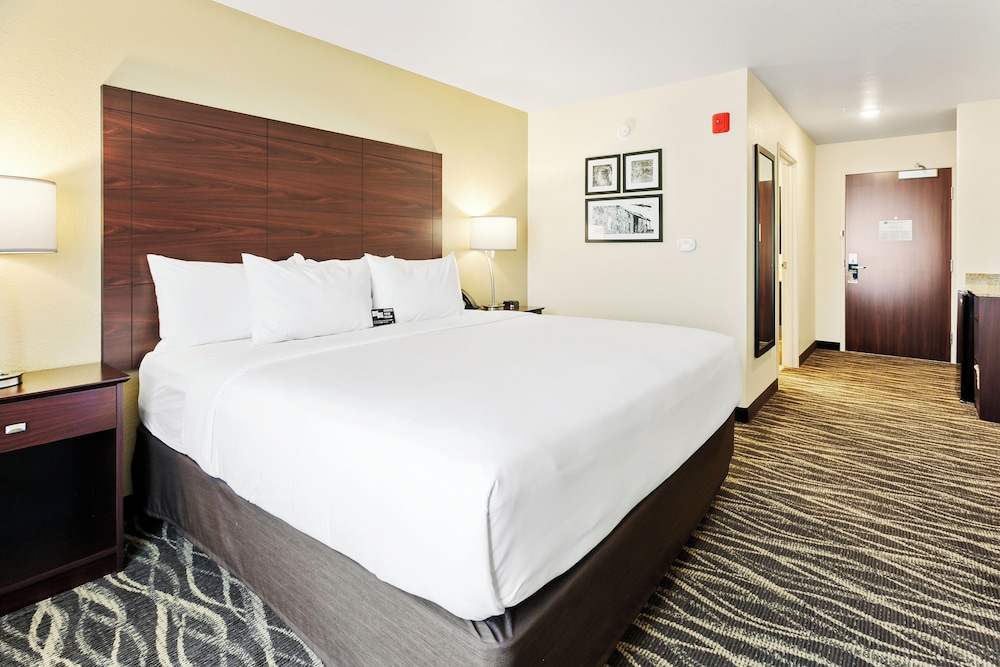 Room, 1 King Bed, Non Smoking (with Audible/Visual Alert) - Photo 4