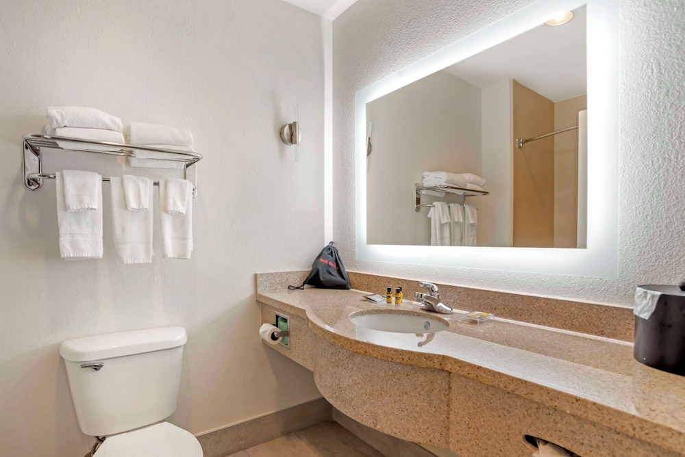 Suite, 1 King Bed, Non Smoking, Refrigerator & Microwave (with Single Sofabed) - Photo 4