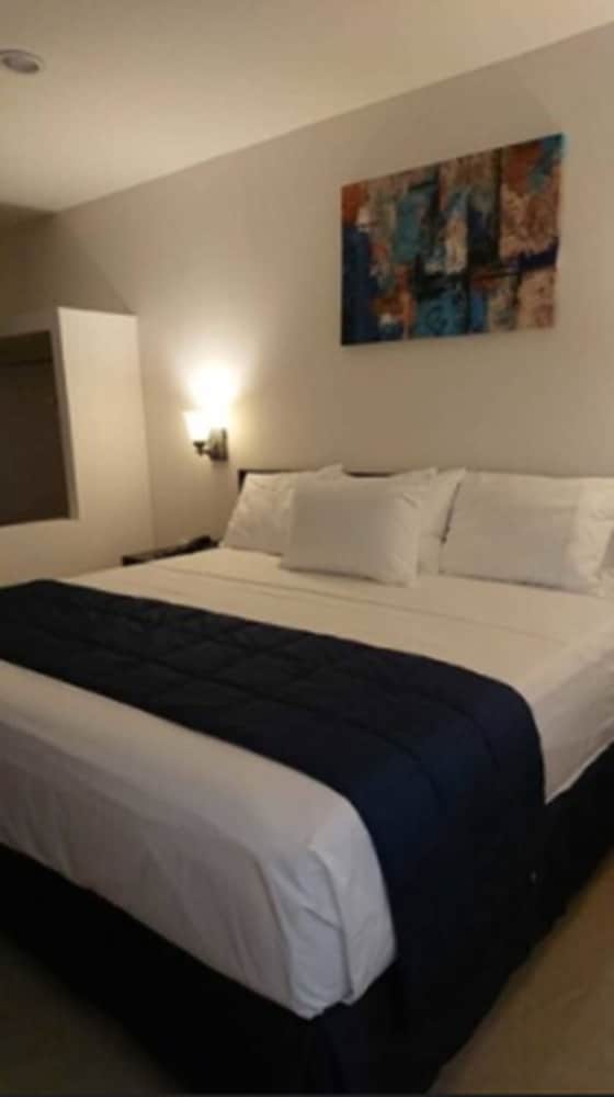 Comfort Room photo 2