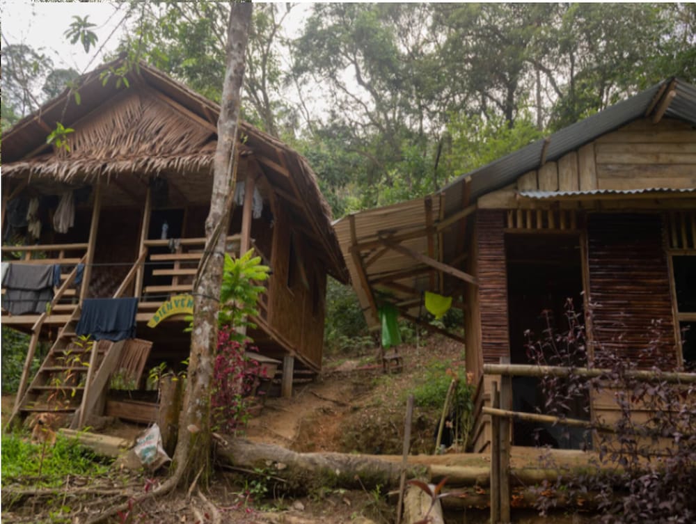 Shared Dormitory, 1 Bedroom, Smoking, Garden View photo 2