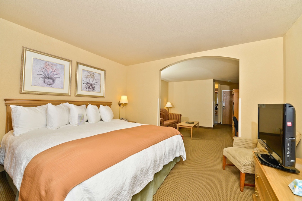Standard Room, 1 King Bed, Non Smoking, Refrigerator & Microwave (With Sofabed) - Photo 1