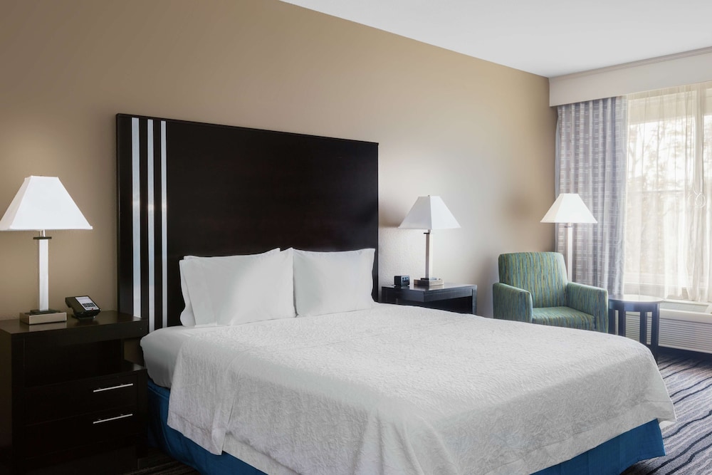 Room, 1 King Bed, Accessible - Photo 4