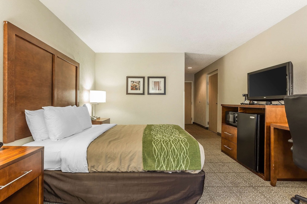 Room, 1 Queen Bed, Accessible, Non Smoking - Photo 2