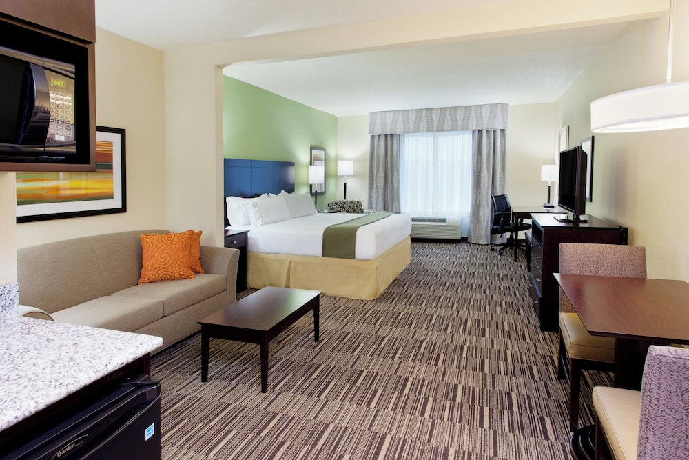 Suite, 1 King Bed with Sofa bed photo 1