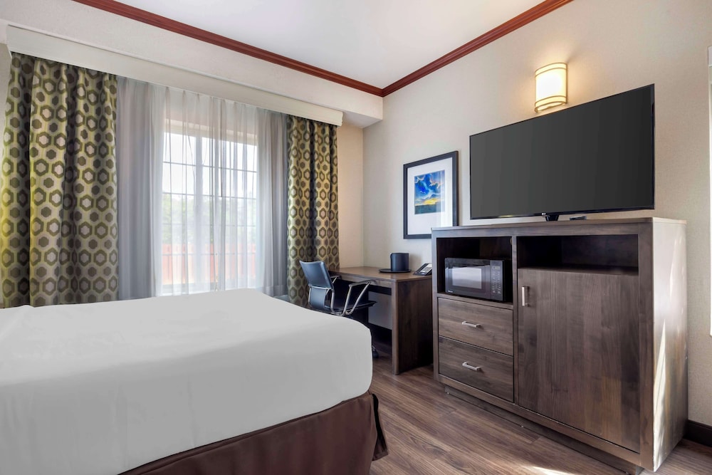 Standard Room, 1 Queen Bed, Accessible, Non Smoking (Refrigerator & Microwave) - Photo 3