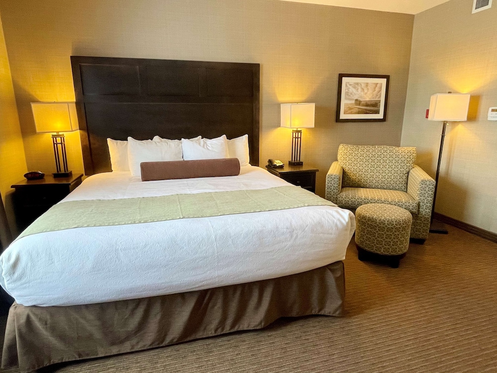 Standard Room, 1 King Bed, Non Smoking, Refrigerator & Microwave photo 1