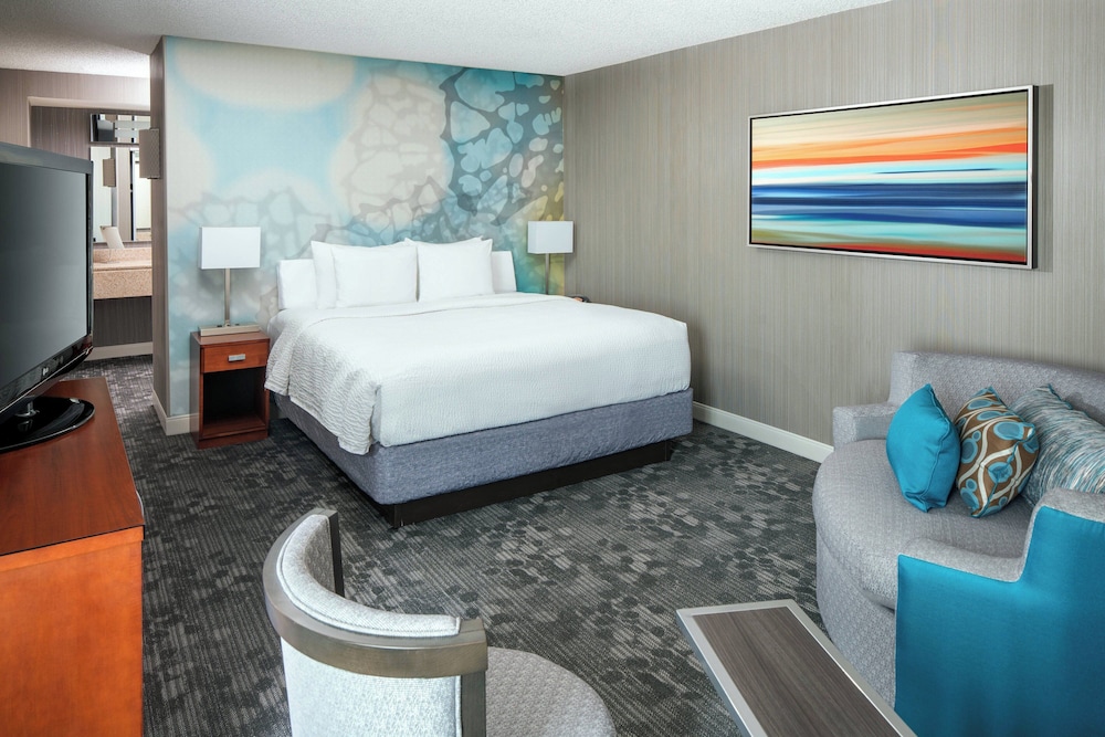 Room, 1 King Bed with Sofa bed (Mobility Accessible, Roll-In Shower)
