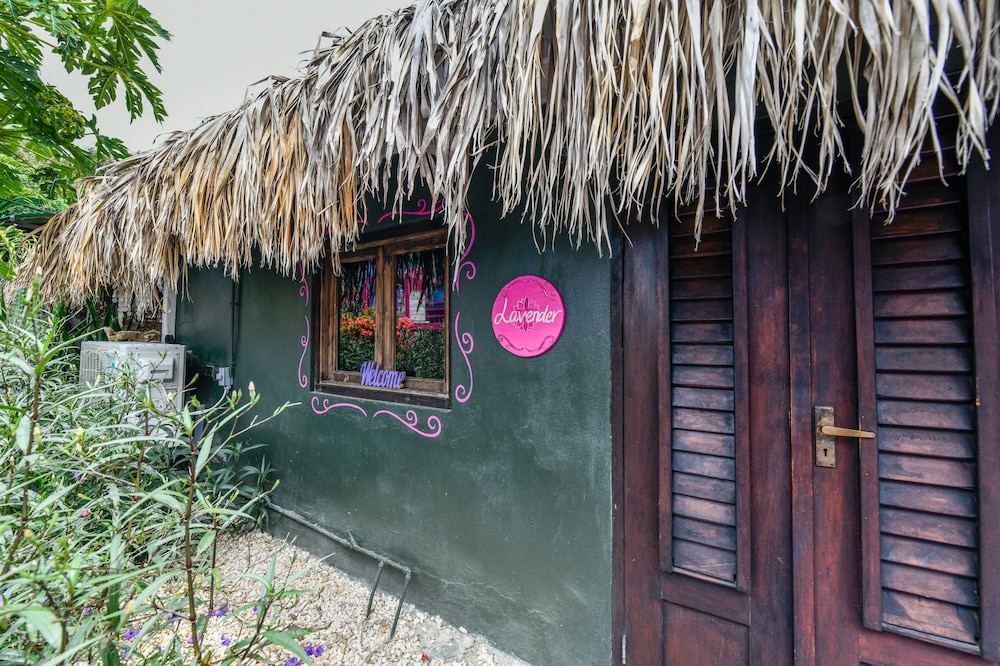 Casita Azul photo 3