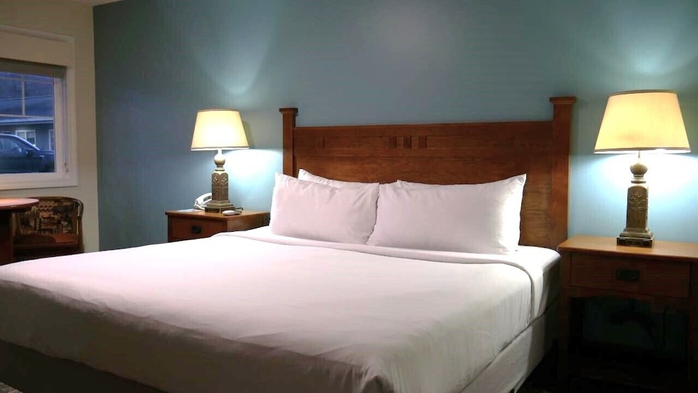 Premium Room, 1 King Bed photo 2