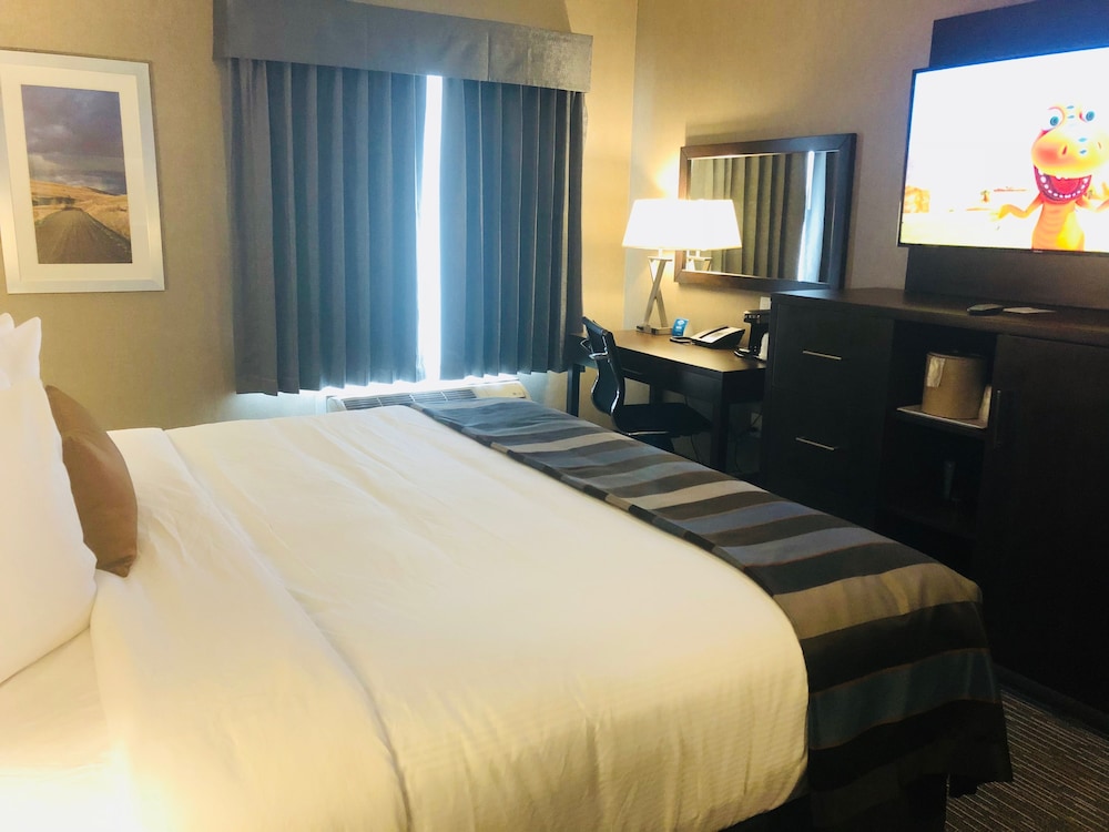 Room, 1 King Bed, Non Smoking, City View photo 2