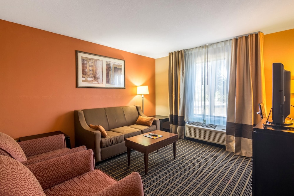 Suite, 1 King Bed with Sofa bed, Accessible, Non Smoking - Photo 1