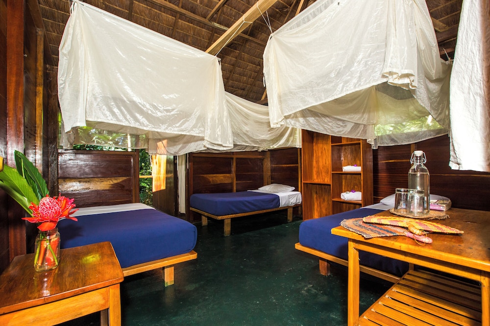 Basic Triple Room, 3 Twin Beds photo 1