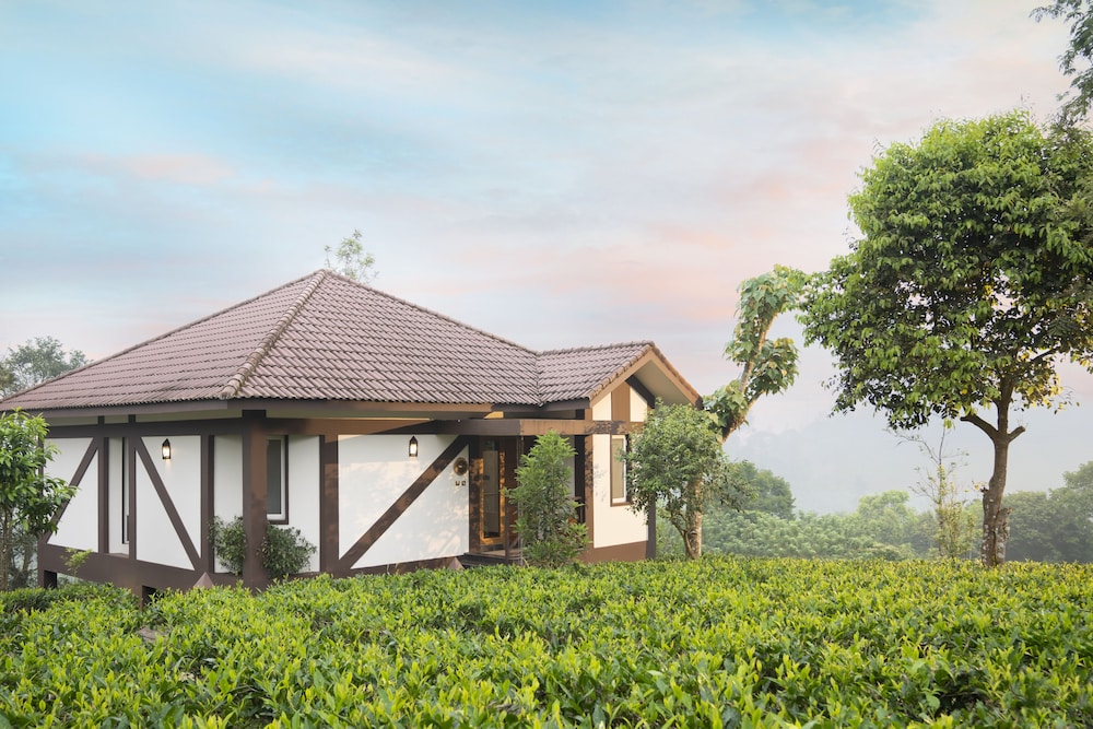 Tea Garden Villa - Photo 5