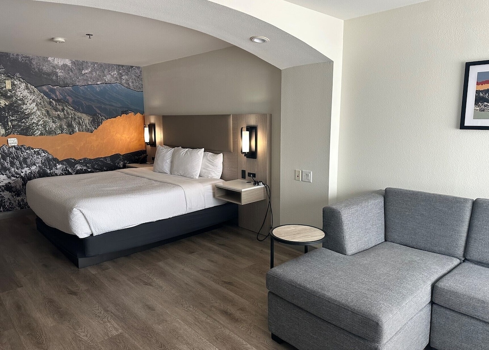 Studio Suite, 1 King Bed, Non Smoking - Photo 11