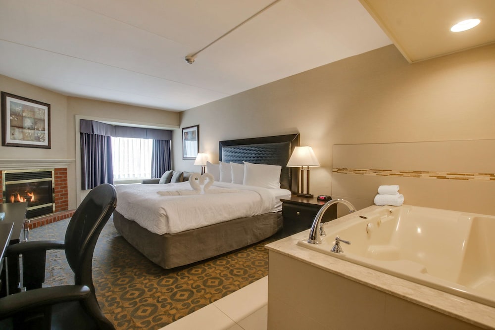 Standard Room, 1 King Bed, Non Smoking, Jetted Tub - Photo 3