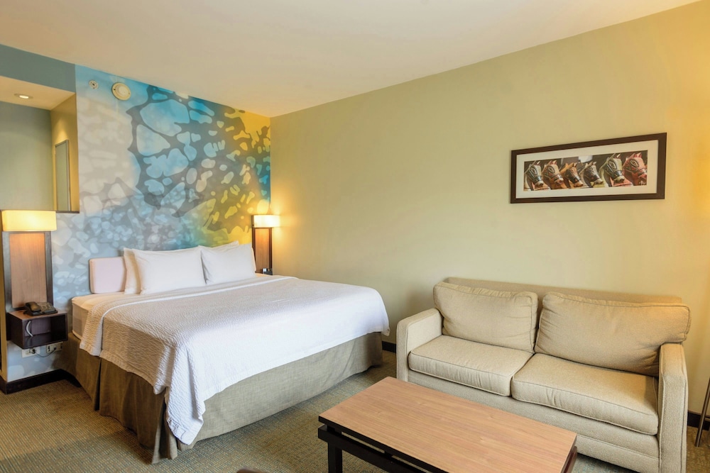 Room, 1 King Bed
