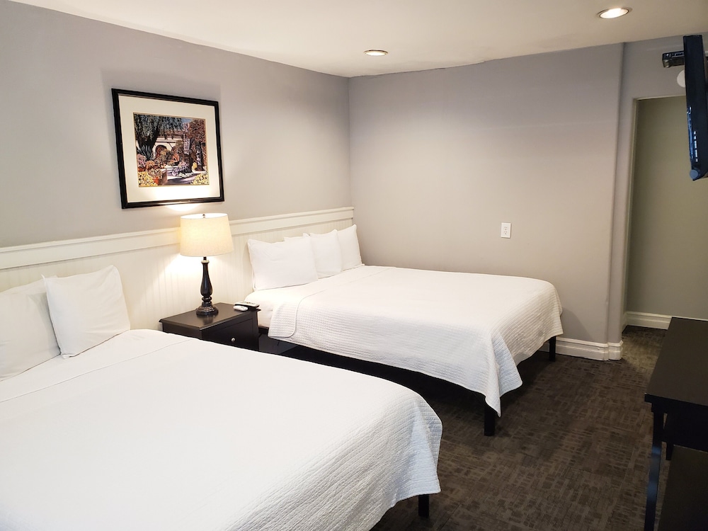 Junior Studio Suite photo 3