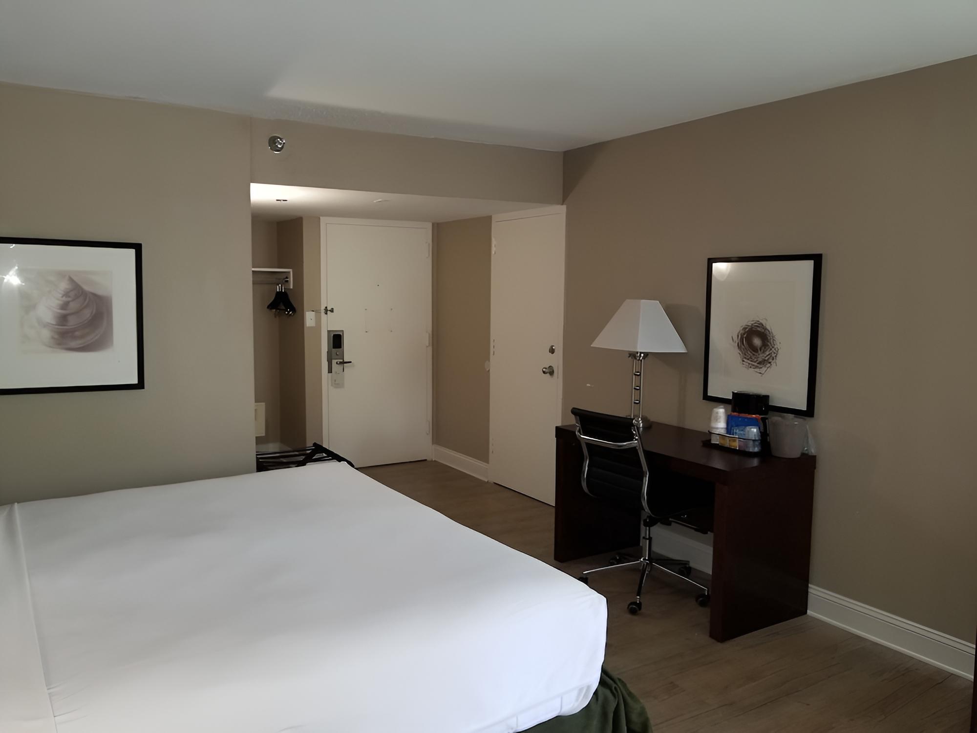 Room, 1 King Bed, Non Smoking photo 1
