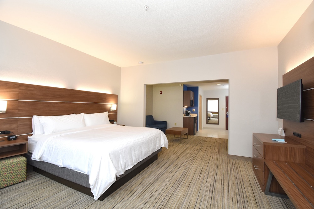 Suite, 1 King Bed photo 1