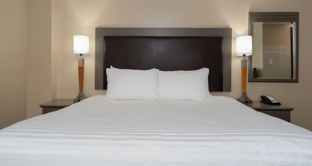 Premium Room, 1 King Bed, Ocean View - Photo 5