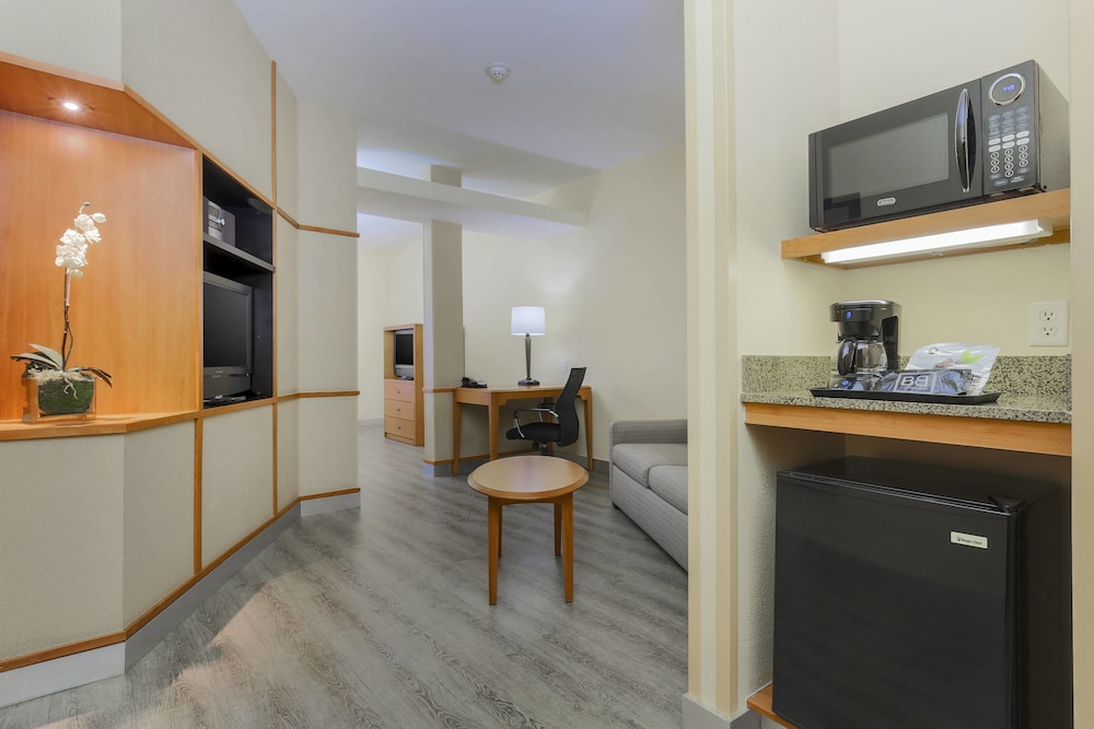 Studio, Multiple Beds - Photo 3