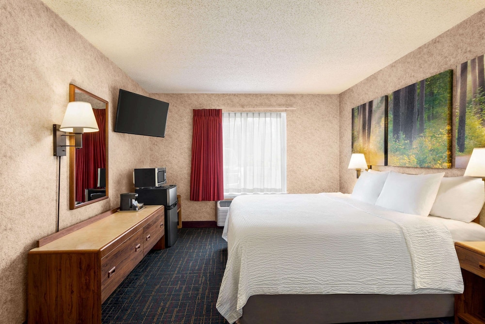 Suite, 1 Queen Bed - Photo 5
